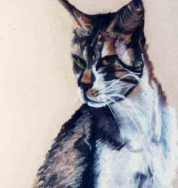 peintre professionnel, commander un portrait sur Internet, commander un tableau sur Internet, peintre, artiste, sculpteur, peinture acrylique, peinture  l'huile, peinture  l'huile sur toile, croquis  la sanguine, croquis pastel, portraitiste, pastelliste, aquarelliste, caricaturiste, croquiste, peintre de nus, portraits des stars, portraits enfant, portraits adultes, portraits personnaliss, portraits au pastel, tableau peinture, nu artistique, portrait sur commande, peinture  l'huile, copies des anciens matres, dessins et portraits  la sanguine et au pastel, natures mortes, cours de dessin, trompe l'oeil, fresques murales, peintures murales, trompe-l'oeil sur toiles, peinture animalire
